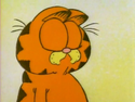 GarfieldInTheRough35