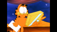 The First Annual Garfield Test 59