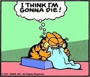 2-17-1981