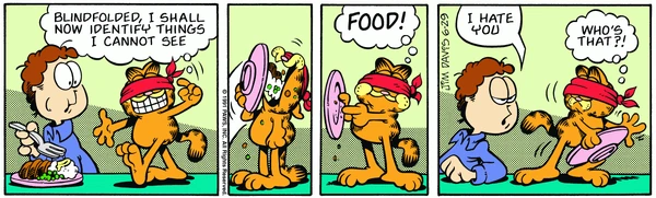 1991-06-29