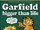 Garfield Bigger Than Life