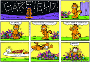 Young cat's mind