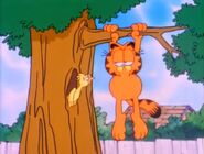 Garfield glances at the bird...