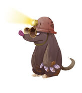 Mole concept