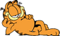 Garfield the Cat