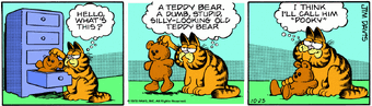 pooky garfield's teddy bear