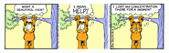 Stay focused, Garfield!