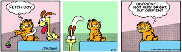 1981-06-08