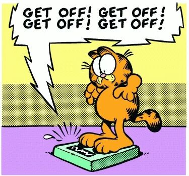 https://static.wikia.nocookie.net/garfield/images/4/4a/11-18-1985.jpg/revision/latest/scale-to-width-down/375?cb=20221014001926