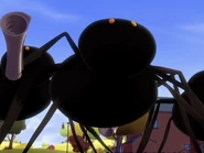 Spiders.png.jpg (109 KB)