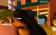 Rottweiler.jpg