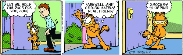 1991-06-08