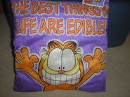 "The Best Things In Life Are Edible!" A pillow that I recall winning at a fair.