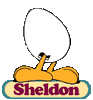 Sheldon2