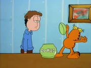 Cookie Contest: Garfield congratulates Jon for guessing how many cookies there were: zero.