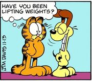 11-13-2003