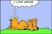 Grass 2003-6-29