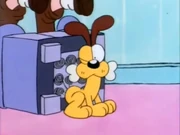 Seeking Bone: Odie winks at the viewers after finding his bone under the chair.