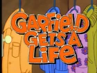 Garfieldgetsalifetitle
