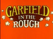 GarfieldInTheRough9