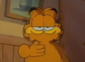Garfield in Cartoon All-Stars To The Rescue 2