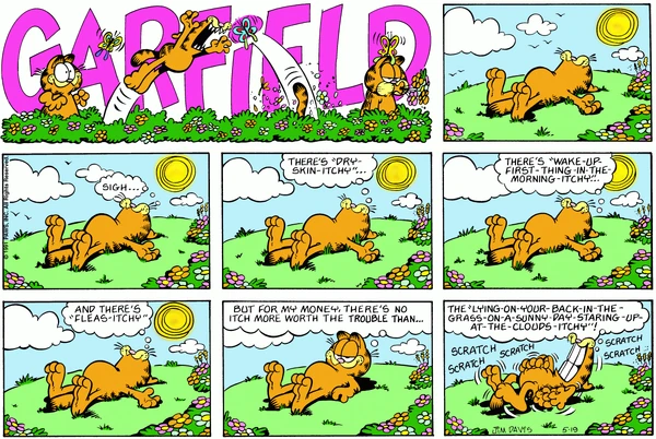 1991-05-19