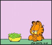 Diets Lettuce