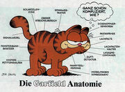 Garfields anatomy German