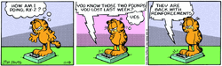 https://static.wikia.nocookie.net/garfield/images/a/ad/1985-11-19.gif/revision/latest/scale-to-width-down/250?cb=20180913041616