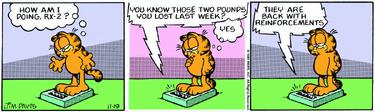 1985-11-19