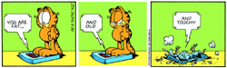 RX-2, Garfield Wiki