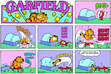 1984-02-19