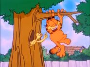 Garfield soon lets go...