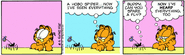 Hobo spider