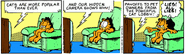 Cat bribes!