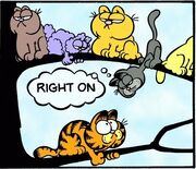 7-10-1981