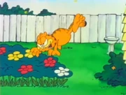 Plastic Flowers: Garfield tries to kill Jon's flowers, only to find out that they're plastic.