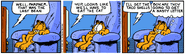 Garfield doesn't approve.
