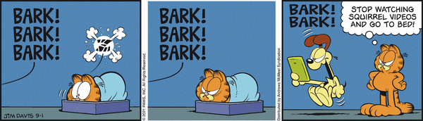2021-09-01.gif