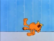 Sleeping Positions: Garfield demonstrates the world's most bizarre sleeping position.