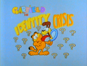 IdentityCrisisTitleCard.png