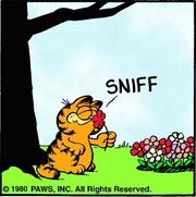Flowers 1980-7-13
