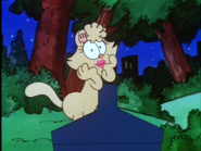 Penelope talking to the audience about Garfield in "The Perils of Penelope"