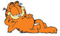 Garfield the cat