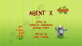 010. AGENT X