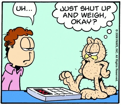 https://static.wikia.nocookie.net/garfield/images/f/f3/1-26-2008.jpg/revision/latest?cb=20221014002905