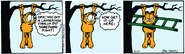 Lodged ladder
