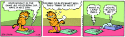 https://static.wikia.nocookie.net/garfield/images/f/f8/1985-11-23.gif/revision/latest/scale-to-width-down/250?cb=20180913041619