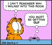 6/17/2018 A spider calls Garfield old, emphasis on "old".