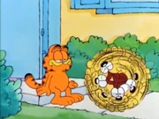 Where's Odie?: Garfield watches as Odie rolls over and over and over.